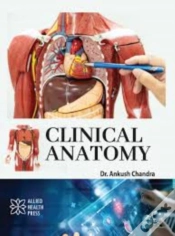 Capa do artigo Clinical Anatomy