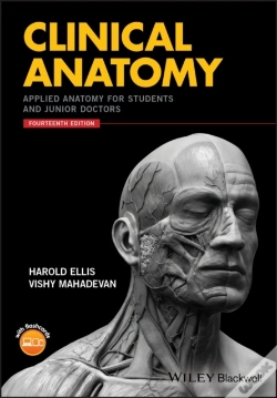 Capa do artigo Clinical Anatomy