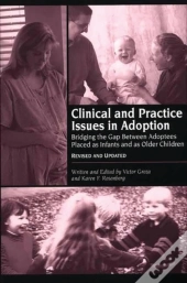 Clinical And Practice Issues In Adoption