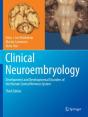 Clinical Neuroembryology - Preview