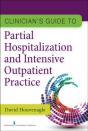 Clinician'S Guide To Partial Hospitalization And Intensive Outpatient Practice - Preview