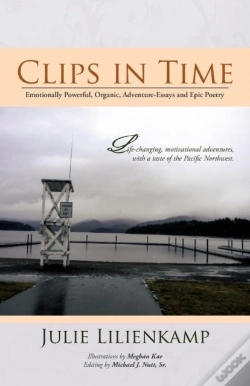 Capa do artigo Clips In Time