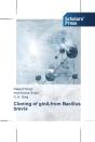 Cloning Of Glna From Bacillus Brevis - Preview