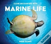 Close Encounters With Marine Life