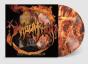 Close to a World Below - Vinil - Preview