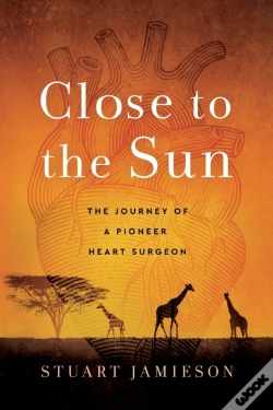 Capa do artigo Close To The Sun