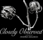 Closely Observed - Preview