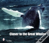 Closer To The Great Whales