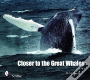 Capa do artigo Closer To The Great Whales