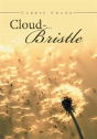 Cloud Bristle - Preview