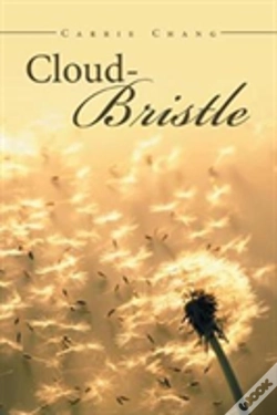 Capa do artigo Cloud Bristle