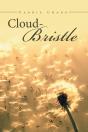 Cloud Bristle - Preview