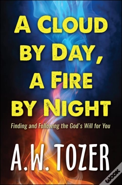 Capa do artigo Cloud By Day, A Fire By Night