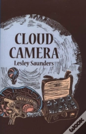Capa do artigo Cloud Camera