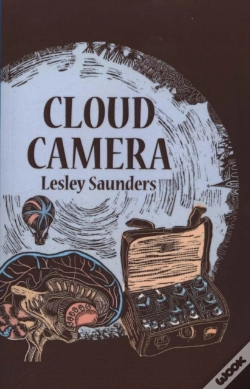 Capa do artigo Cloud Camera