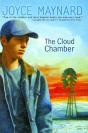 Cloud Chamber - Preview
