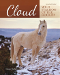 Cloud - Preview