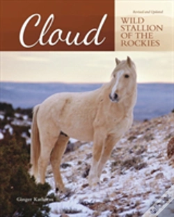 Capa do artigo Cloud