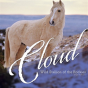 Cloud - Preview