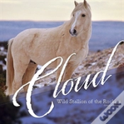 Capa do artigo Cloud