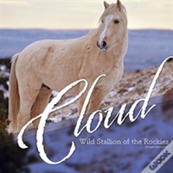 Capa do artigo Cloud