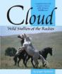 Cloud - Preview