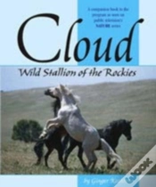 Capa do artigo Cloud