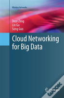Cloud Networking For Big Data