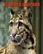 Clouded Leopard - Preview