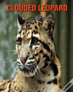 Capa do artigo Clouded Leopard