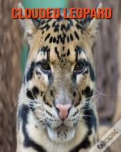 Clouded Leopard