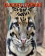Clouded Leopard - Preview