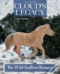 Cloud'S Legacy