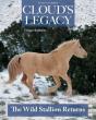 Cloud'S Legacy - Preview
