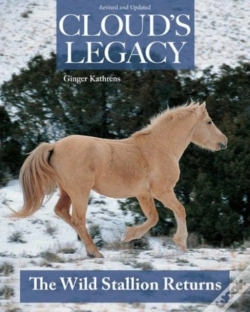 Capa do artigo Cloud'S Legacy