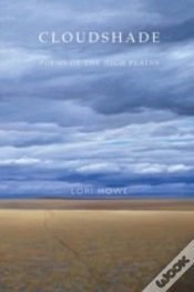 Capa do artigo Cloudshade