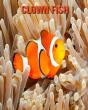 Clown Fish - Preview