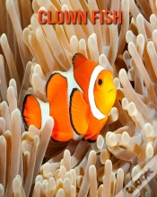 Capa do artigo Clown Fish