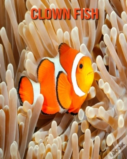 Capa do artigo Clown Fish