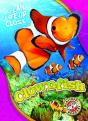 Clownfish - Preview