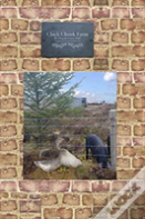 Cluck Chook Farm