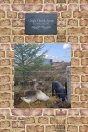 Cluck Chook Farm - Preview