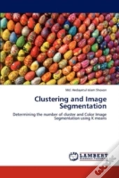 Clustering And Image Segmentation