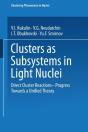 Clusters As Subsystems In Light Nuclei - Preview