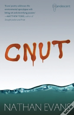 Capa do artigo Cnut