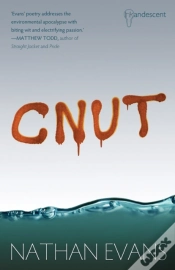 Capa do artigo Cnut