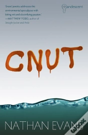 Capa do artigo Cnut