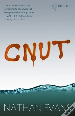 Capa do artigo Cnut