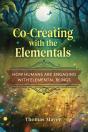 Co-Creating With The Elementals - Preview