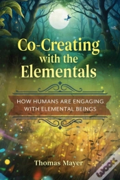 Capa do artigo Co-Creating With The Elementals